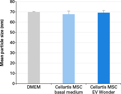 一貫したEVサイズと特徴的な形態