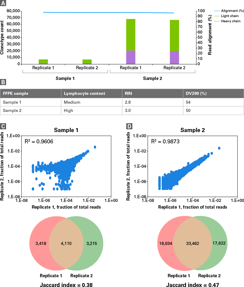 腫瘍浸潤リンパ球（TIL）FFPEサンプルにおけるBCRクロノタイプの高再現性プロファイリング