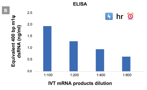 dsRNA GoStix PlusおよびELISAによるIVT 合成mRNA中のdsRNA濃度の測定4hr