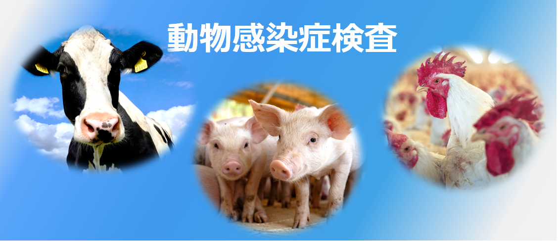 タイトル