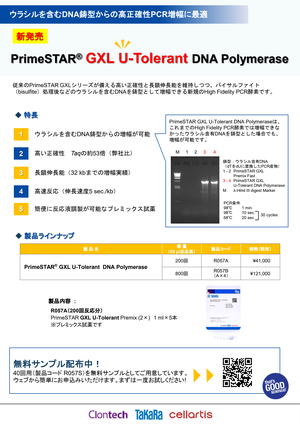 PrimeSTAR GXL U-Tolerant DNA Polymerase