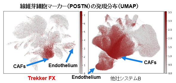 マーカー遺伝子（POSTN）の発現分布とその精度の比較