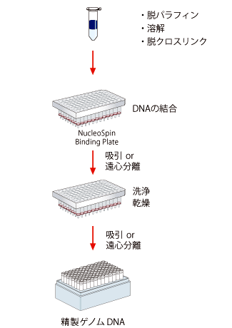 操作手順